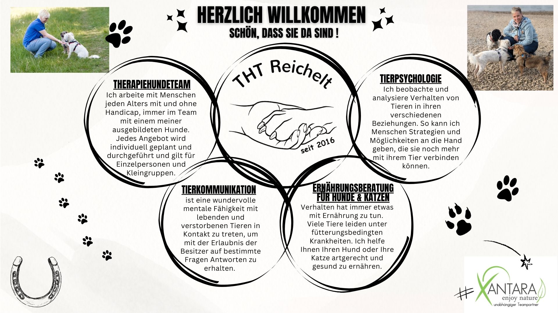 THT-Reichelt